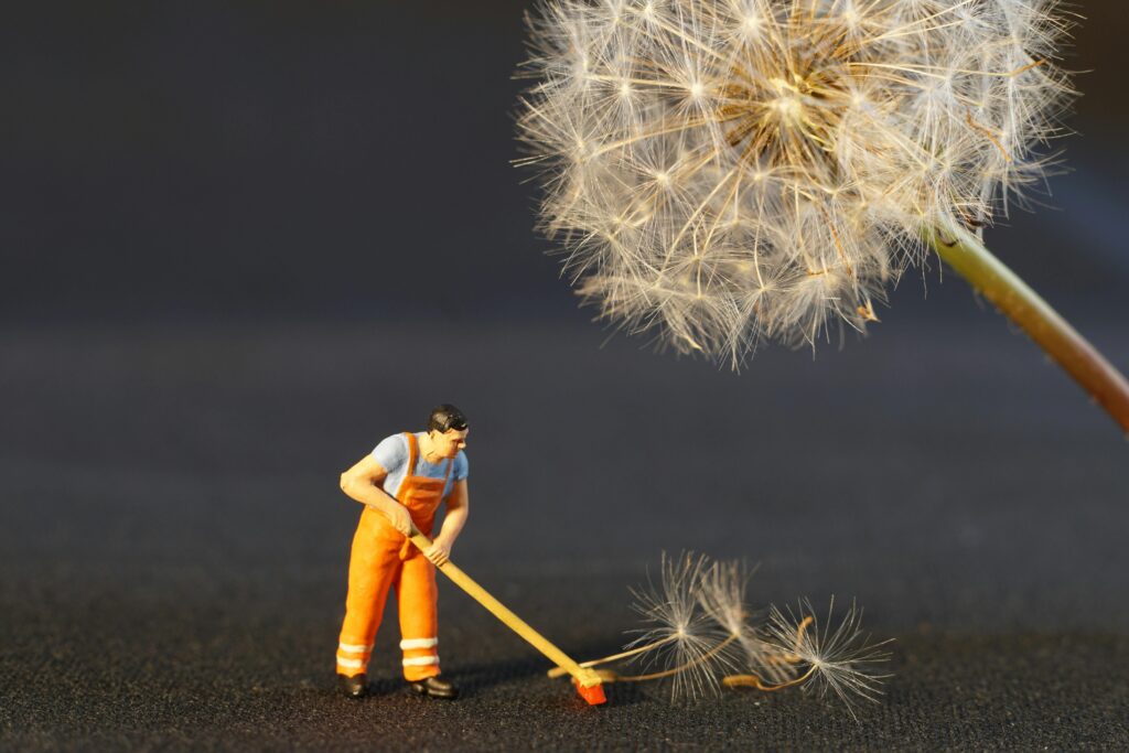 pexels-photo-434163-434163 Close-up of a miniature worker figurine cleaning dandelion seeds, combining nature and toy elements.